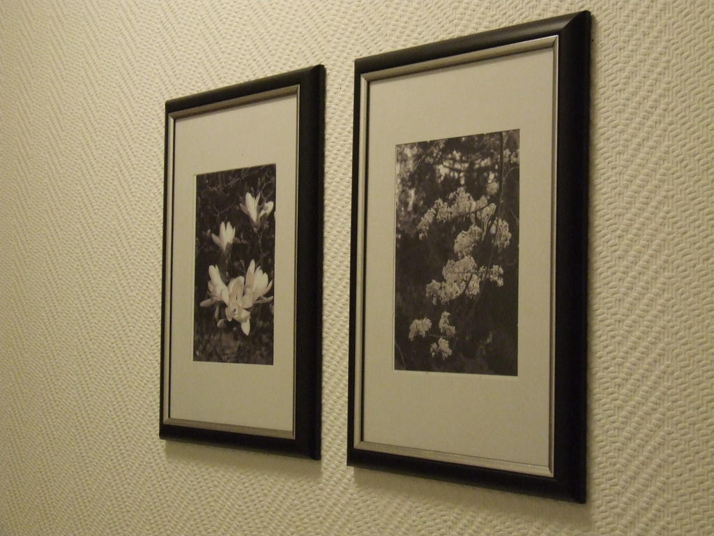 Residenz Hotel Eurostar Düsseldorf Dış mekan fotoğraf